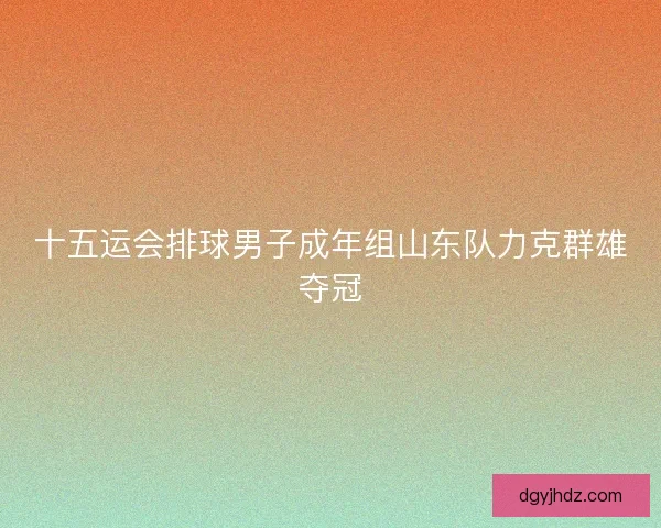 十五运会排球男子成年组山东队力克群雄夺冠